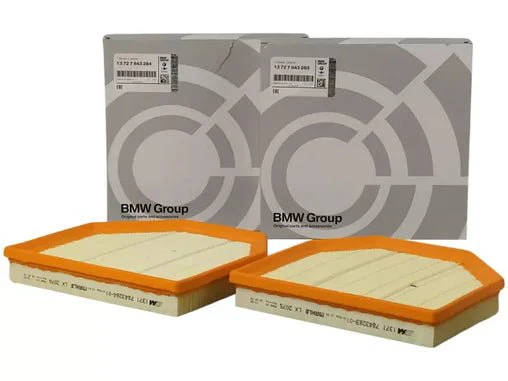 Genuine BMW S55 Air Filter (Pair) – F87 M2 Competition / F80 M3 / F82 F83 M4